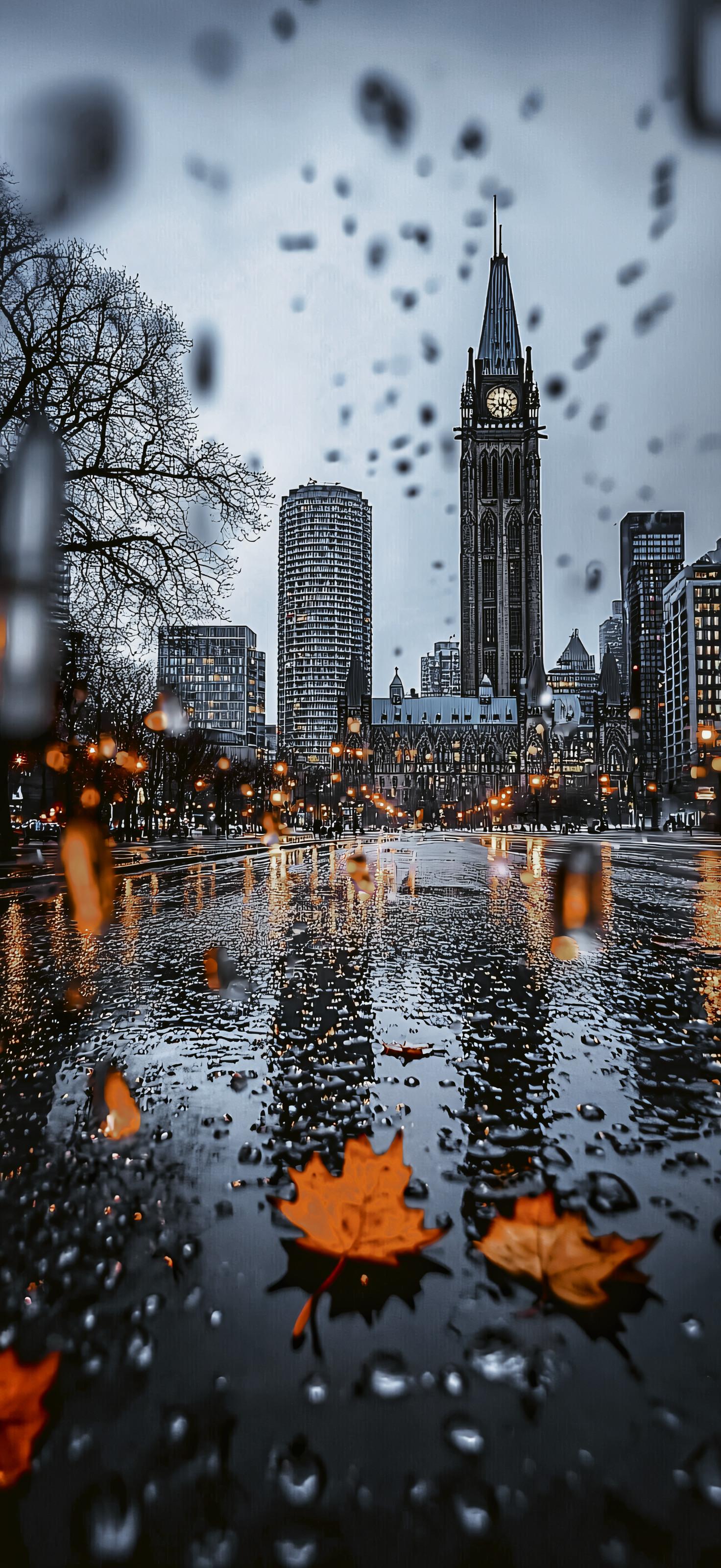 After The Rain In The City