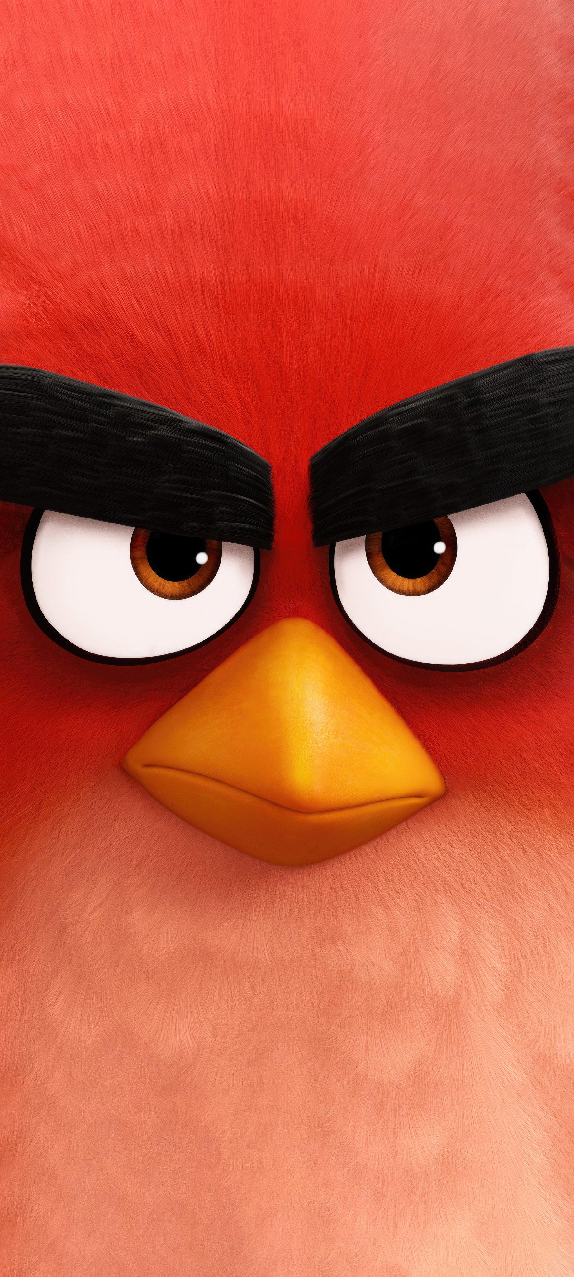 Angry Bird Wallpaper