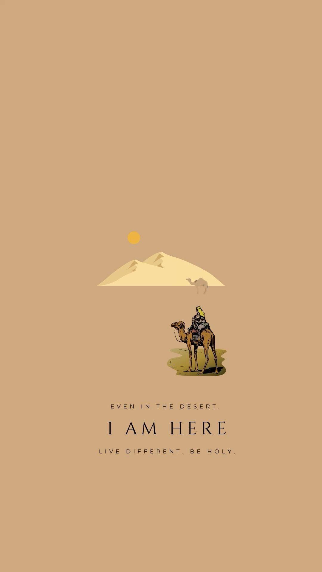 Happy Sunday Wallpaper