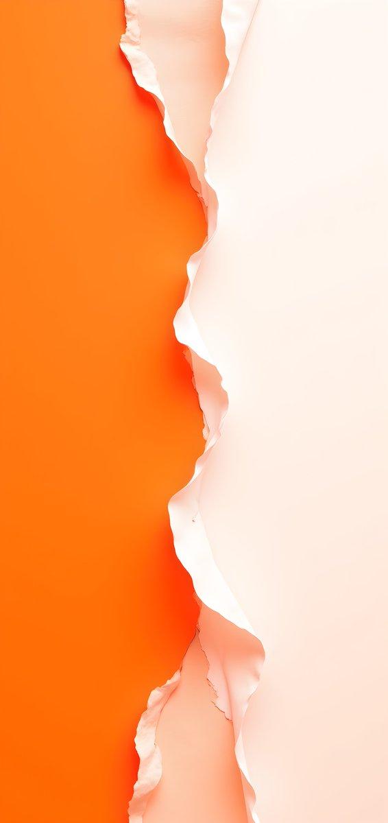 Orange and White 4K