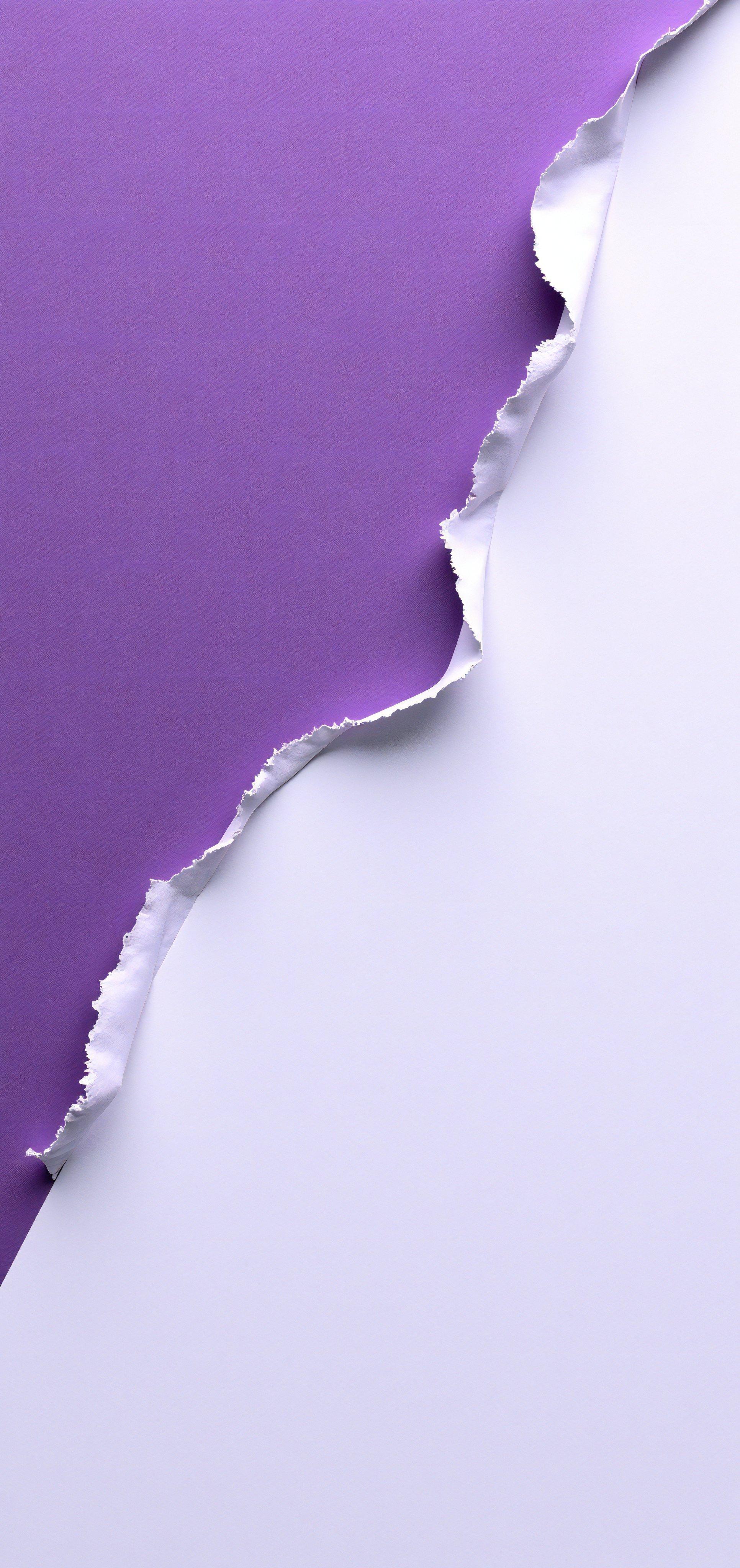 Purple and White 4K