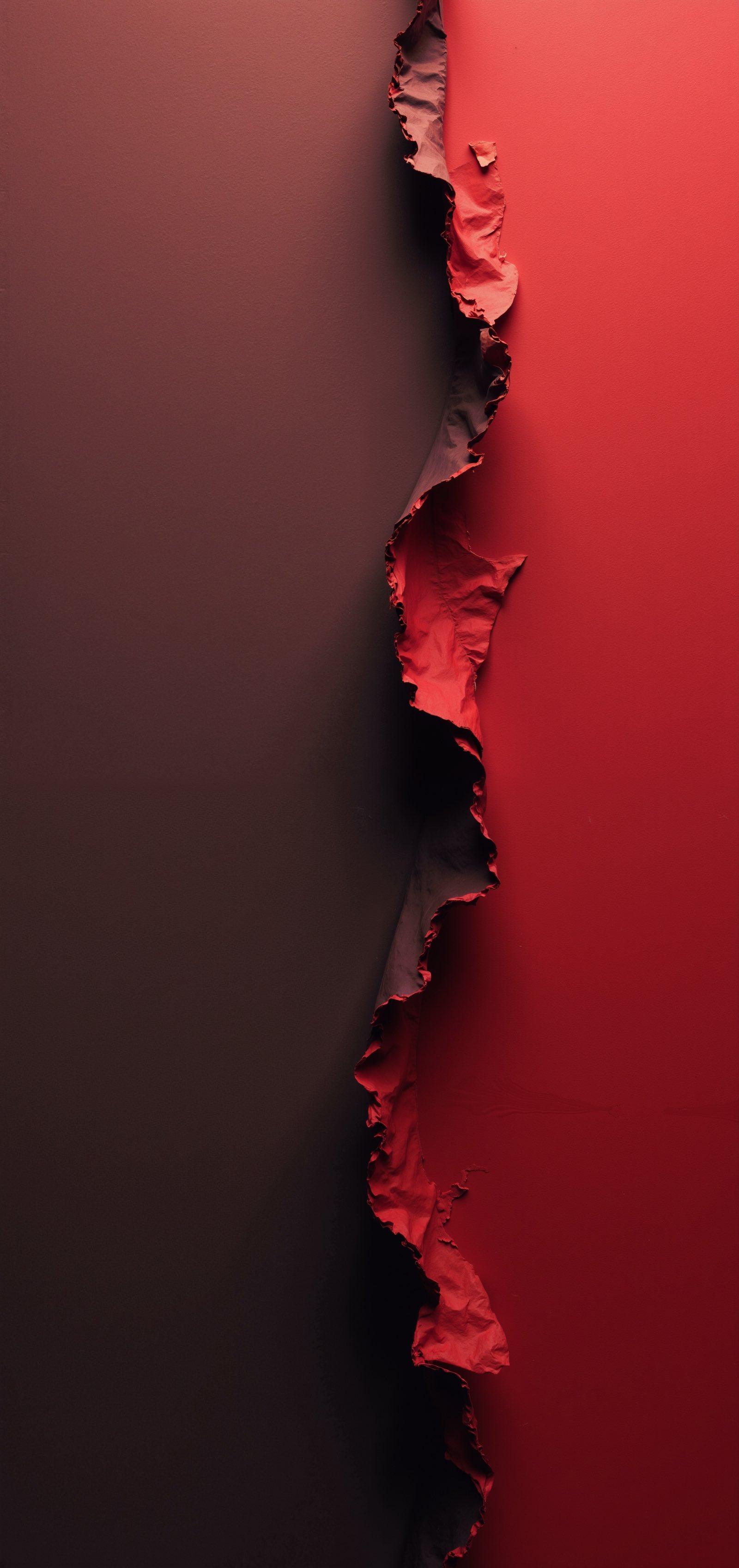 Rosewood Red and Soft Charcoal 4K