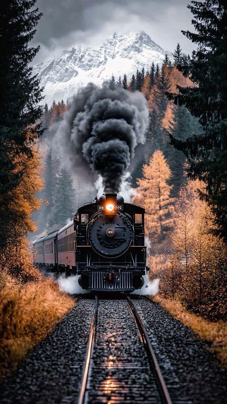 Vintage Steam Train in Autumn Forest